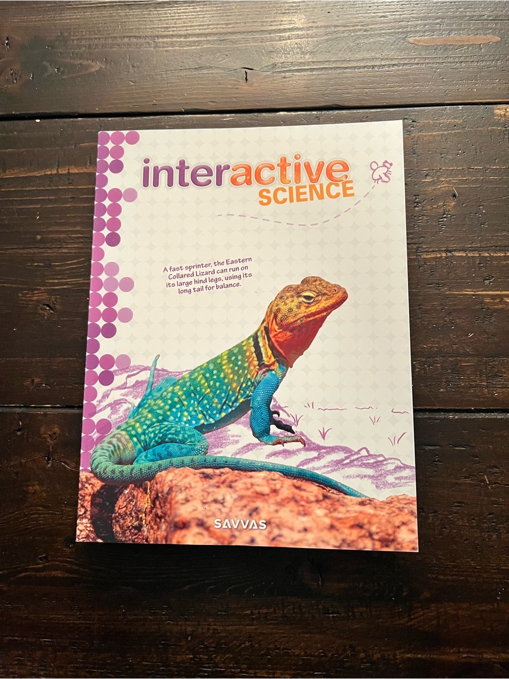 Interactive Science by Scott Foresman